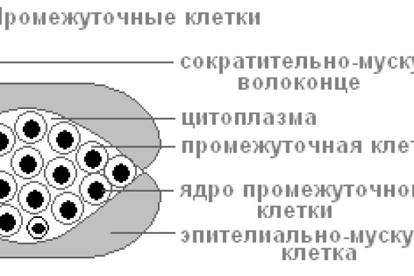 Кракен зеркало сайта