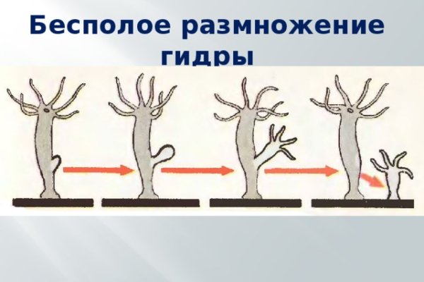 Как зарегистрироваться в кракен в россии