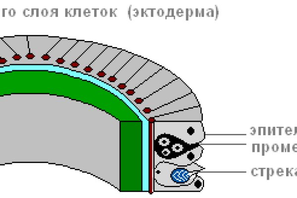 Кракен пользователь не найден что