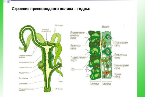 Правила модераторов кракен площадка